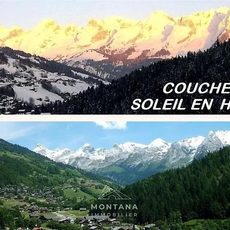 Apartment Renove De 26m² A Pour 4 Personnes - Fr-1-458-116 Le Grand-Bornand